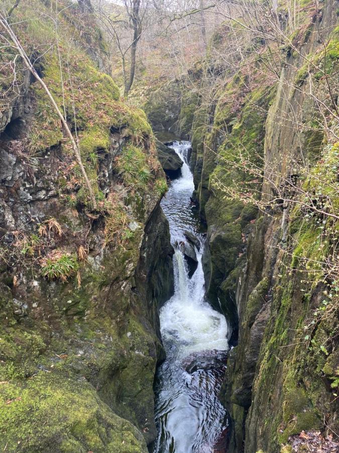 Marian Cottage Ingleton  Dış mekan fotoğraf