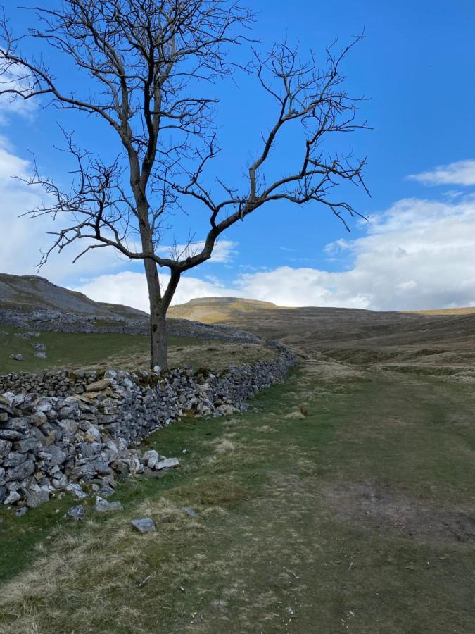 Marian Cottage Ingleton  Dış mekan fotoğraf