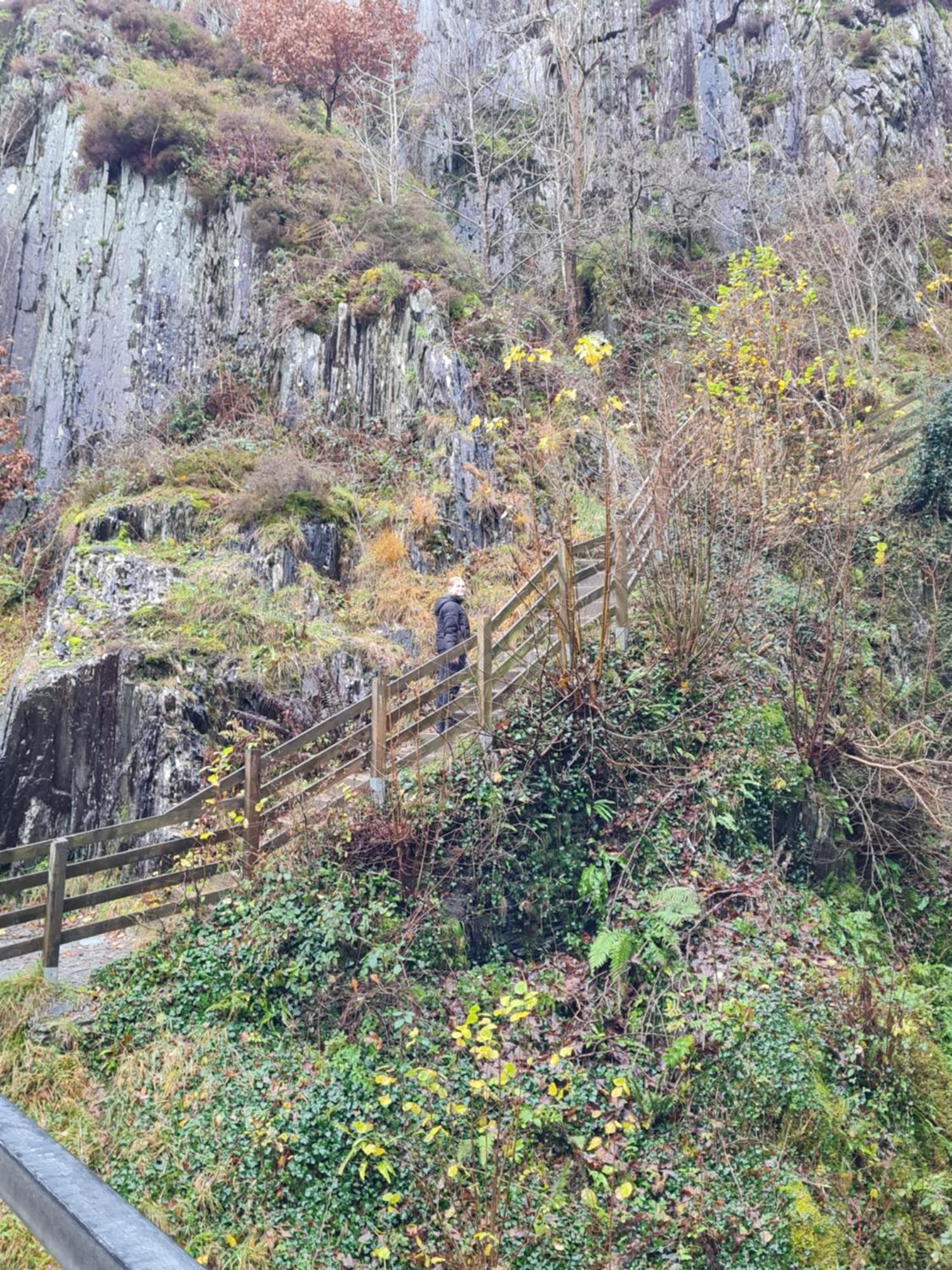 Marian Cottage Ingleton  Dış mekan fotoğraf