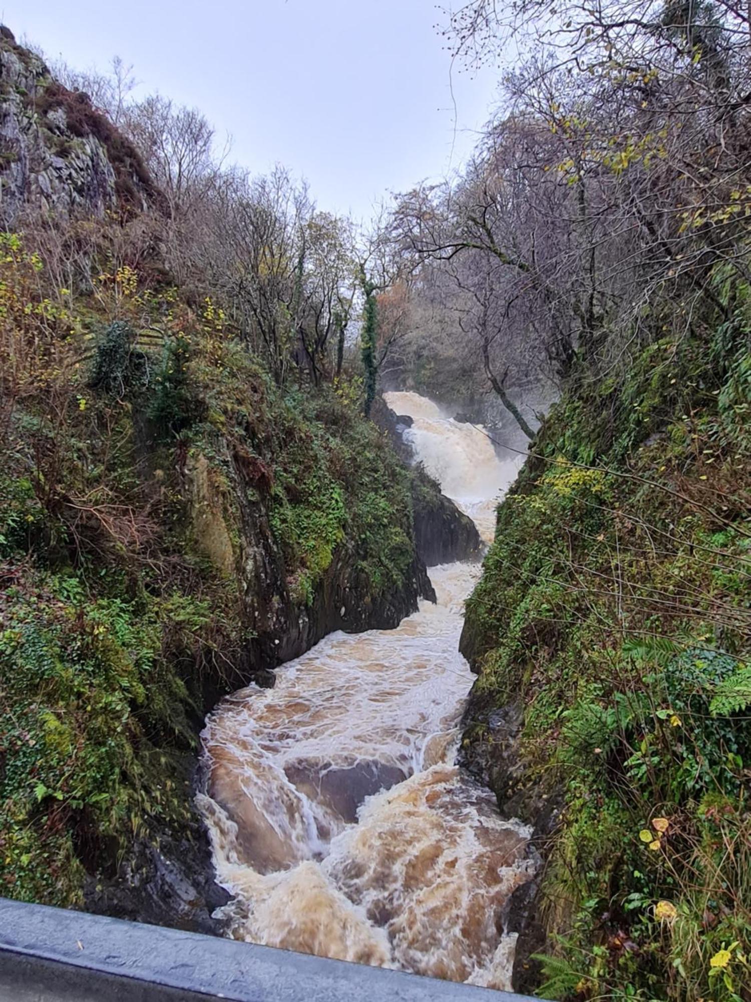 Marian Cottage Ingleton  Dış mekan fotoğraf